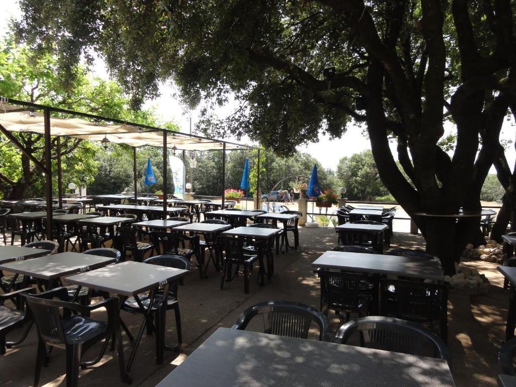 Terrasses De L'Aven Otel Orgnac-lʼAven Dış mekan fotoğraf
